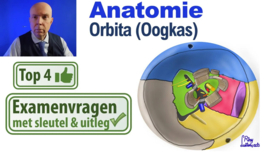 Oculaire anatomie en fysiologie