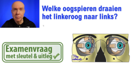 Oogspieren: naar links kijken