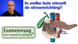 Stroomrichting pancreas- en galbuizen