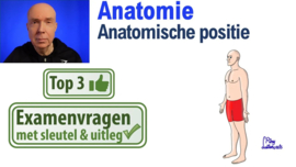 Anatomie en fysiologie