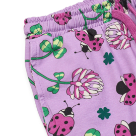 Småfolk shorts with ladybugs