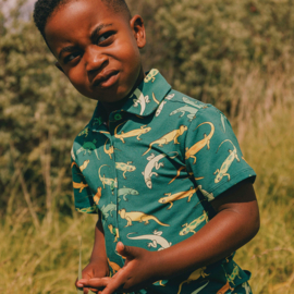 Småfolk shirt with Lizards