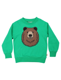 DYR Sweater Bruine Beer Groen