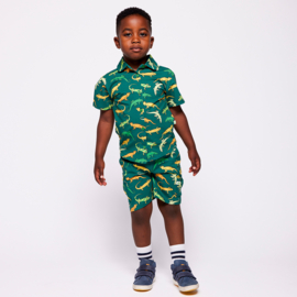 Småfolk shirt with Lizards