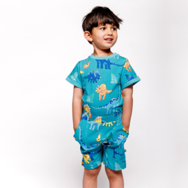 Småfolk t-shirt with Dinosaurs