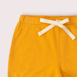 Golden Ochre Run Around Shorts
