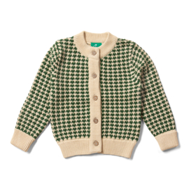 Olive Striped Knitted Cardigan