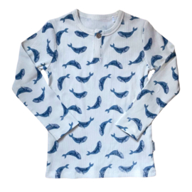 Okker-Gokker t-shirt walvissen