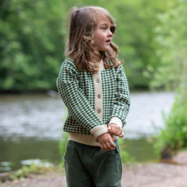 Olive Striped Knitted Cardigan