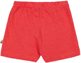 Loud + Proud short oranje rood