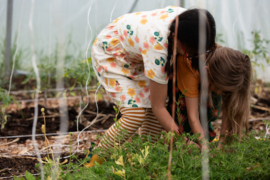 Flora Button Through Dress