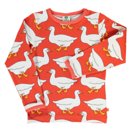 Småfolk longsleeve met gansjes