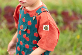 Apple Dungaree Shorts