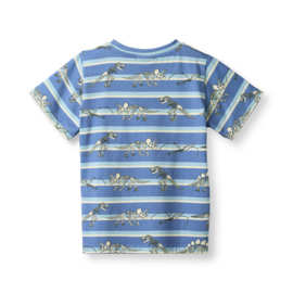 Småfolk t-shirt with Dinosaurs and stripes