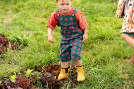 Apple Dungaree Shorts