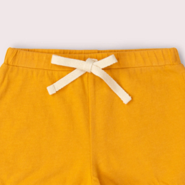 Golden Ochre Run Around Shorts