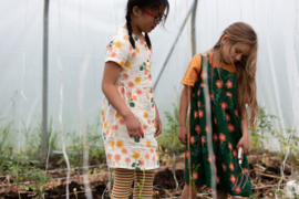 Flora Button Through Dress