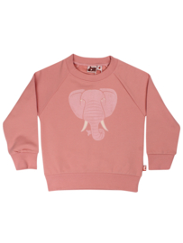 DYR Sweater Olifant Rose Glitter