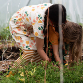 Flora Button Through Dress