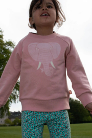 DYR Sweater Olifant Rose Glitter