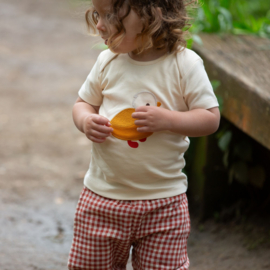 Little Red Check By The Sea Shorts