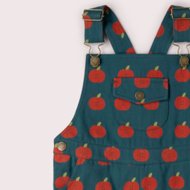 Apple Dungaree Shorts