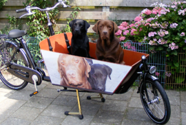 Bakfiets.nl Cargo Long