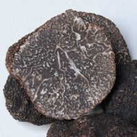 Melanosporum (verse wintertruffel)