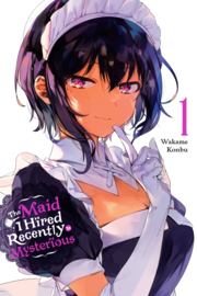 Maid I Hired Recently Is Mysterious
