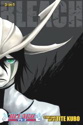 BLEACH OMNIBUS 14