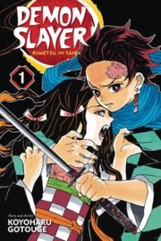 DEMON SLAYER KIMETSU NO YAIBA 01