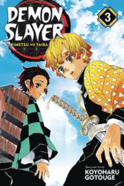 DEMON SLAYER KIMETSU NO YAIBA 03