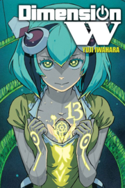 DIMENSION W 13