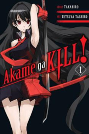 AKAME GA KILL 01