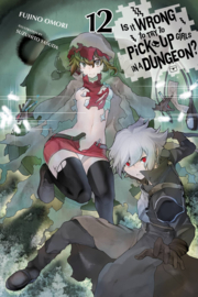 IS IT WRONG TRY PICK UP GIRLS IN DUNGEON NOVEL 12