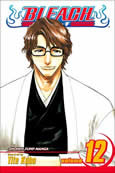 BLEACH 12