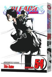 BLEACH 54