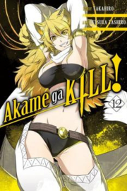 AKAME GA KILL 12