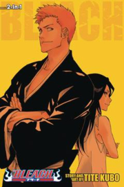 BLEACH OMNIBUS 25