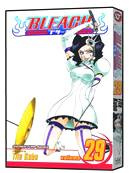 BLEACH 29