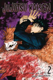 JUJUTSU KAISEN 02