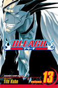 BLEACH 13