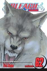 BLEACH 62