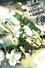 IS IT WRONG TRY PICK UP GIRLS IN DUNGEON NOVEL 13