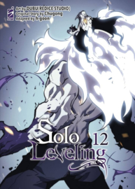 SOLO LEVELING 12