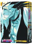 BLEACH OMNIBUS 05