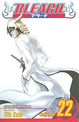 BLEACH 22