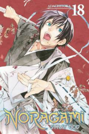 NORAGAMI STRAY GOD 19