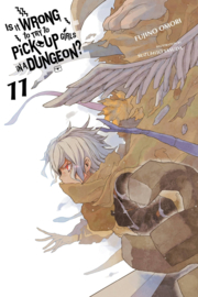 IS IT WRONG TRY PICK UP GIRLS IN DUNGEON NOVEL 11