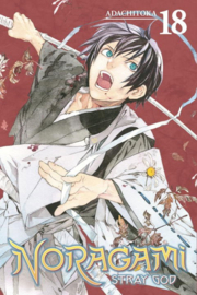 NORAGAMI STRAY GOD 18